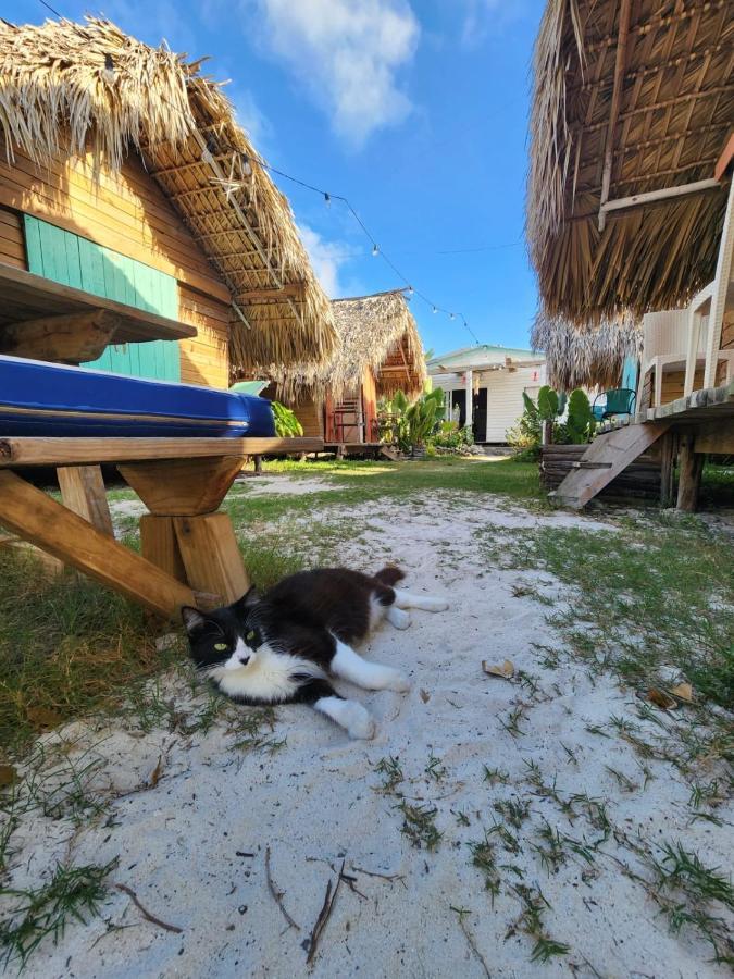 Saona Lodge Mano Juan Exteriör bild